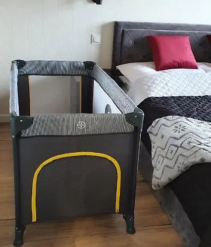 公寓 Karpatia Karbonado Z Balkonem I Widokiem Na Gory 卡尔帕奇